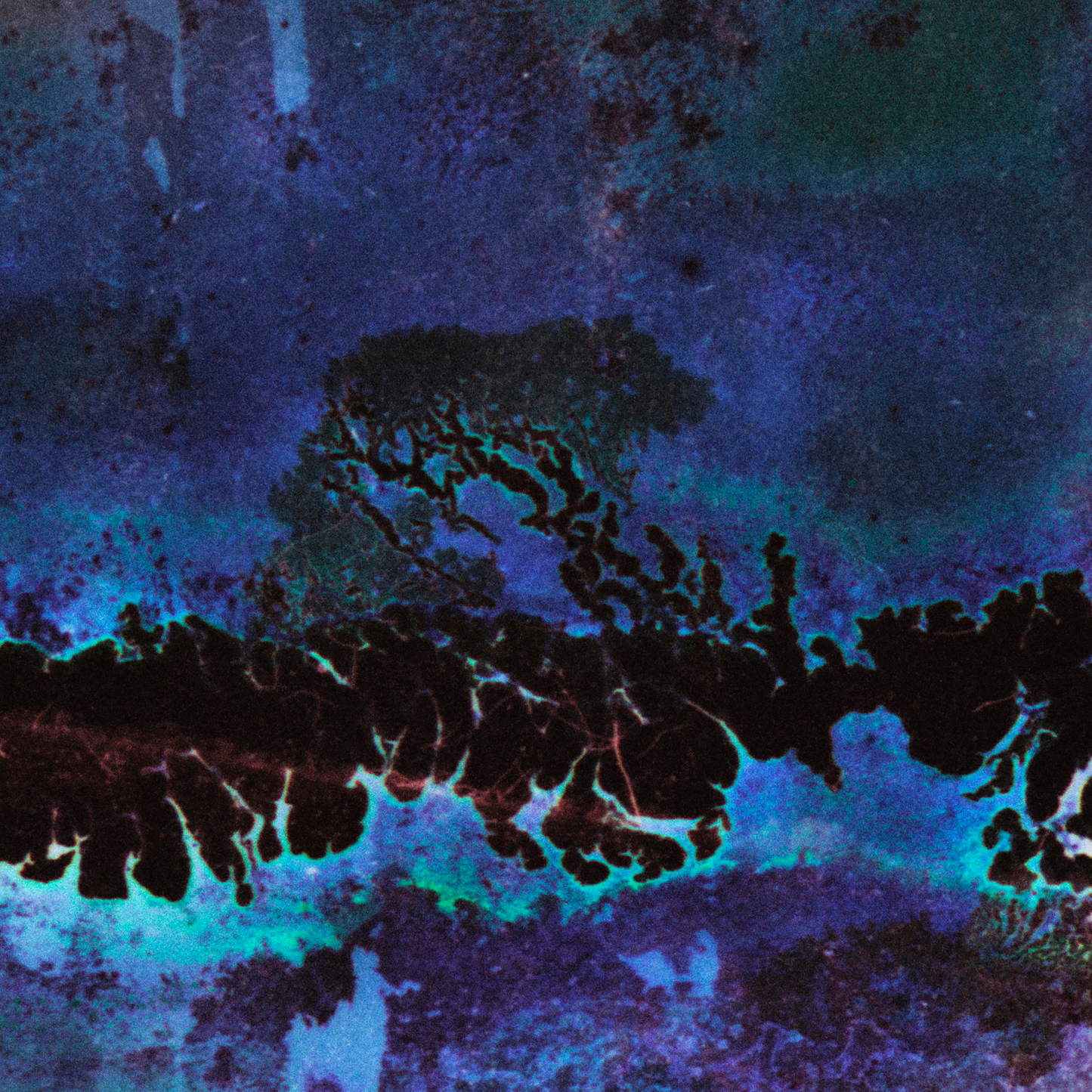Close-up detail of Naturalia I #001 showing multicolour, black and blue tonal variation and pattern