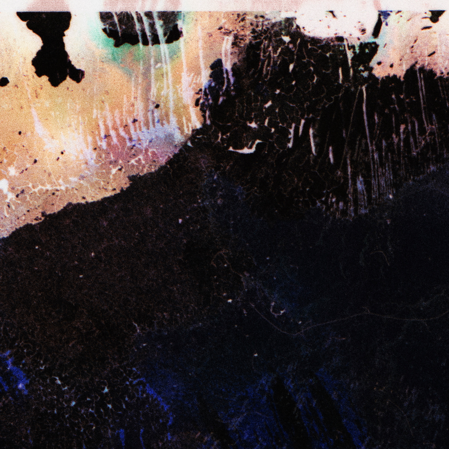 Close-up detail of Naturalia I #008 showing black tonal variation and pattern