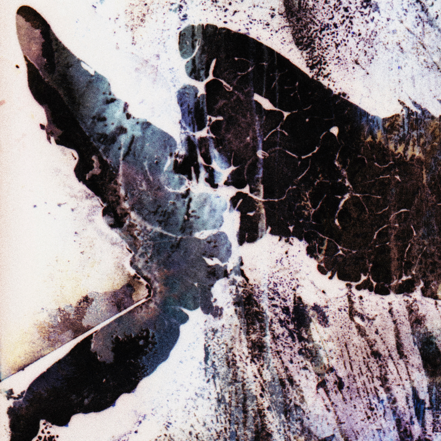 Close-up detail of Naturalia I #023 showing multicolour, black, blue and navy abstract texture and surface