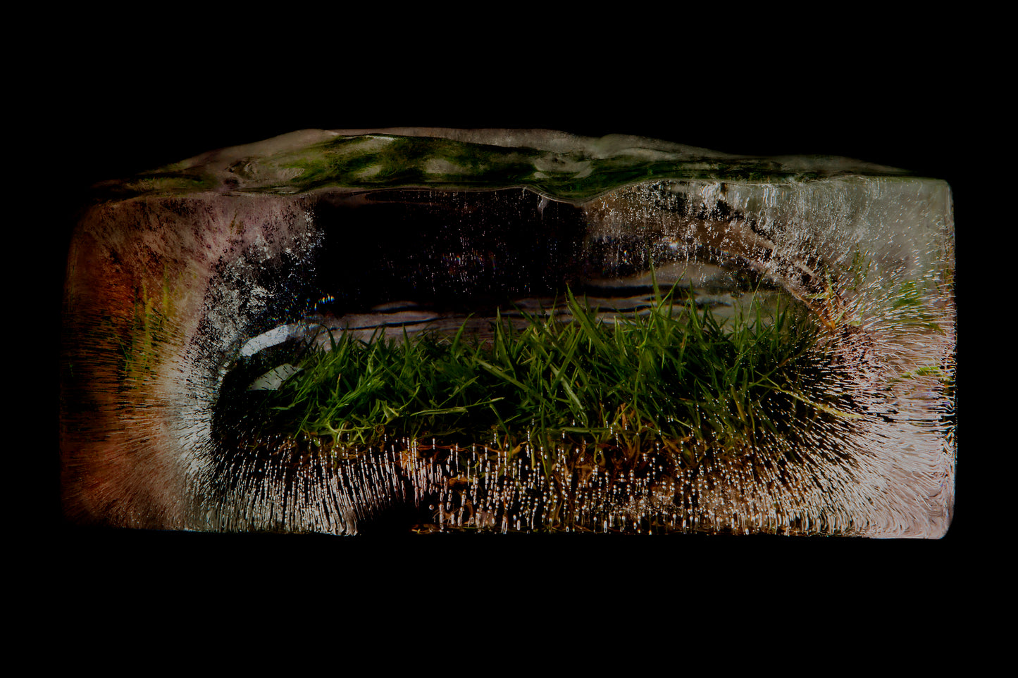 Sod of grass frozen in ice a memory frozen in time on black