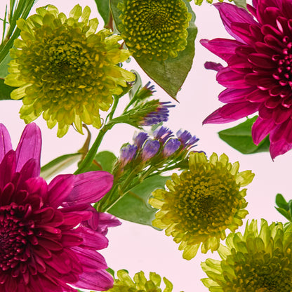 close up of floating flowers on water