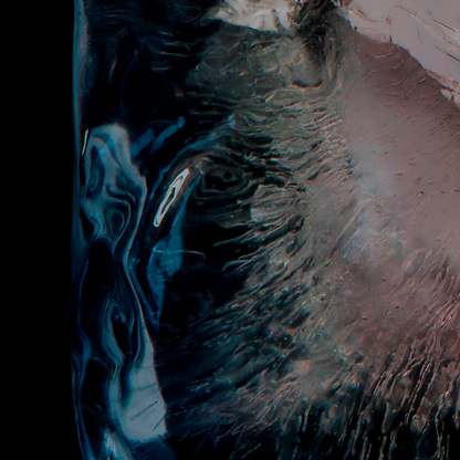 Close up of detail of photograph of a bowl of rice frozen in a block of ice