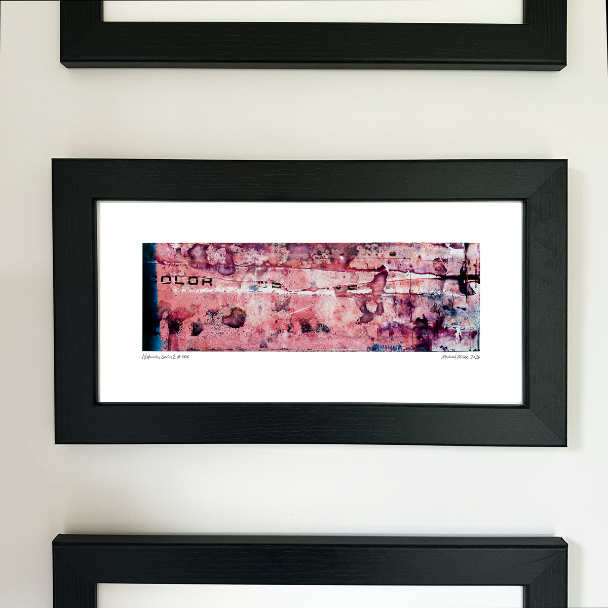 A framed abstract art print with a black frame and white mat, featuring Naturalia II #006 in pink, purple and black tones, mounted on a white wall.
