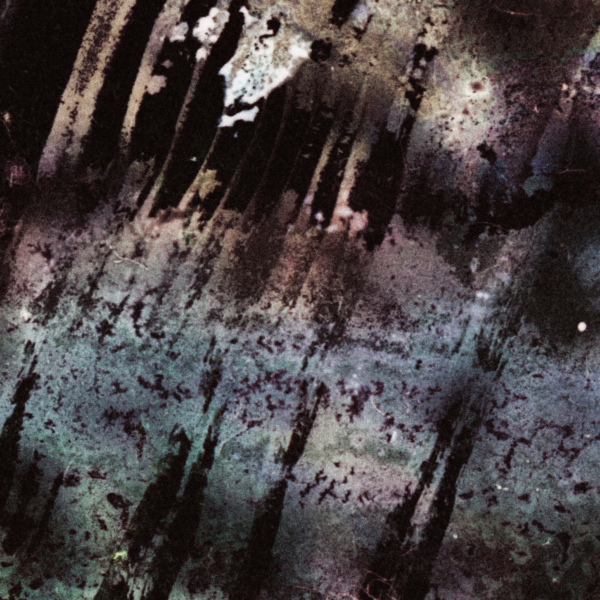 Close-up detail of Naturalia I #002 showing black tonal variation and pattern