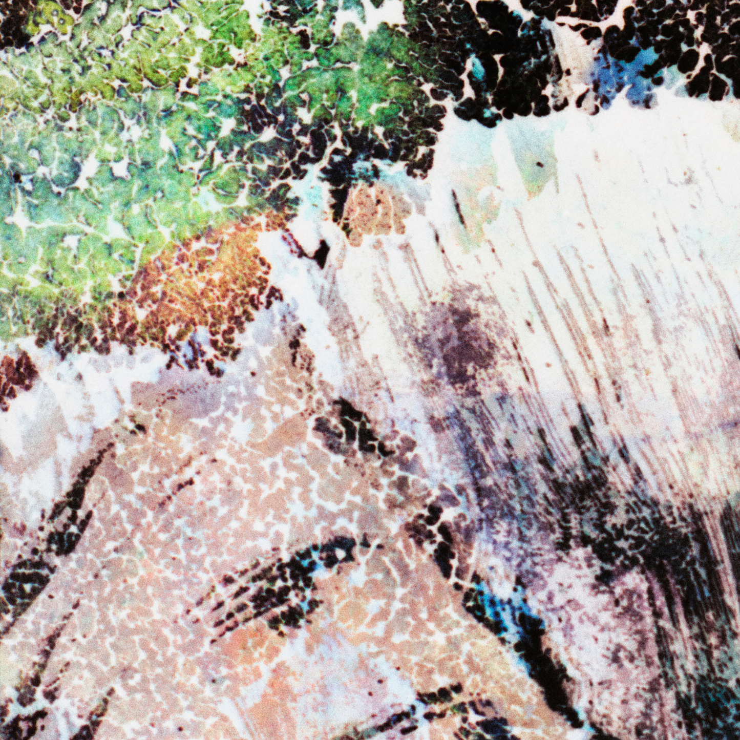 Close-up detail of Naturalia I #003 showing multicolour abstract texture and surface