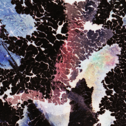 Close-up detail of Naturalia I #004 showing multicolour abstract texture and surface