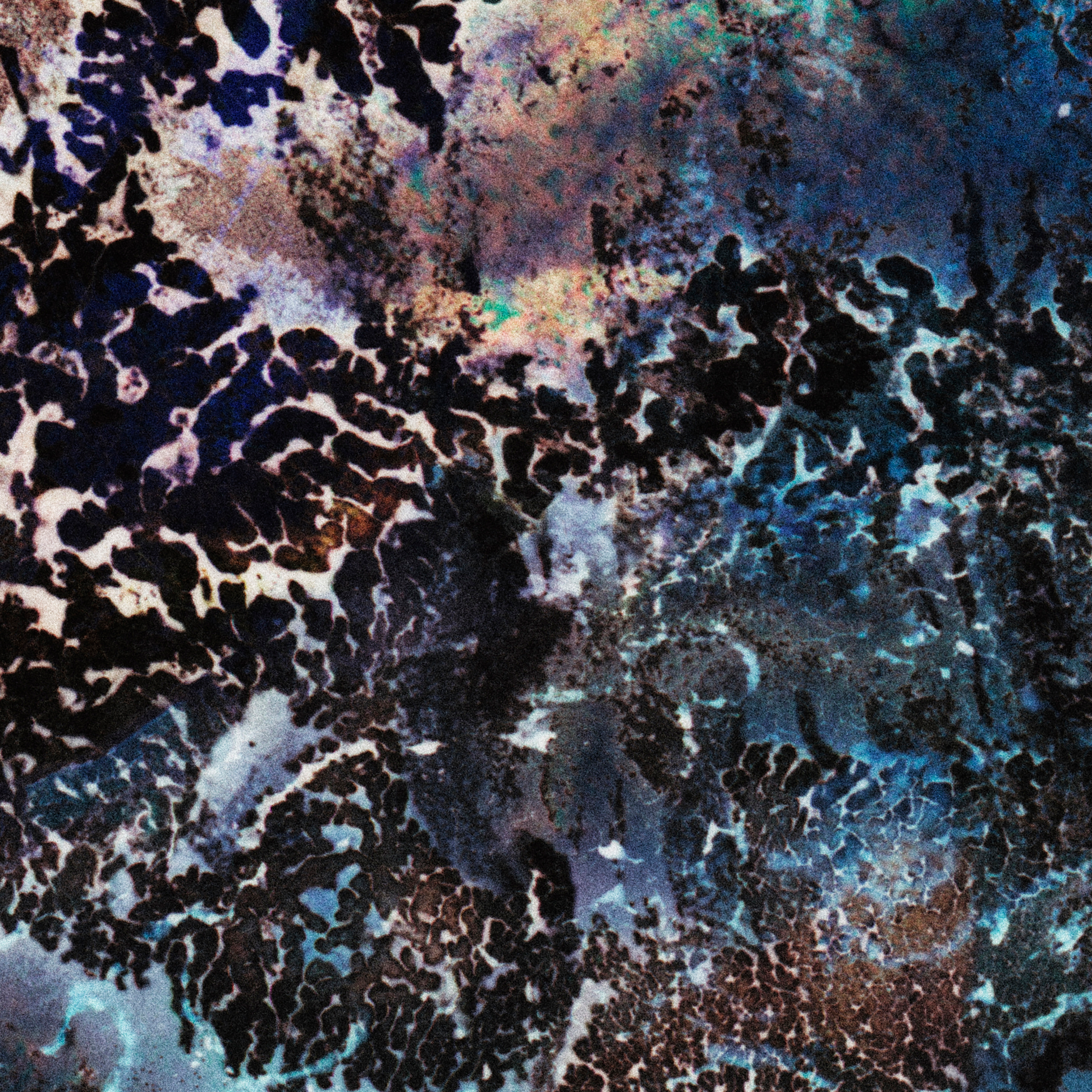 Close-up detail of Naturalia I #005 showing multicolour abstract texture and surface