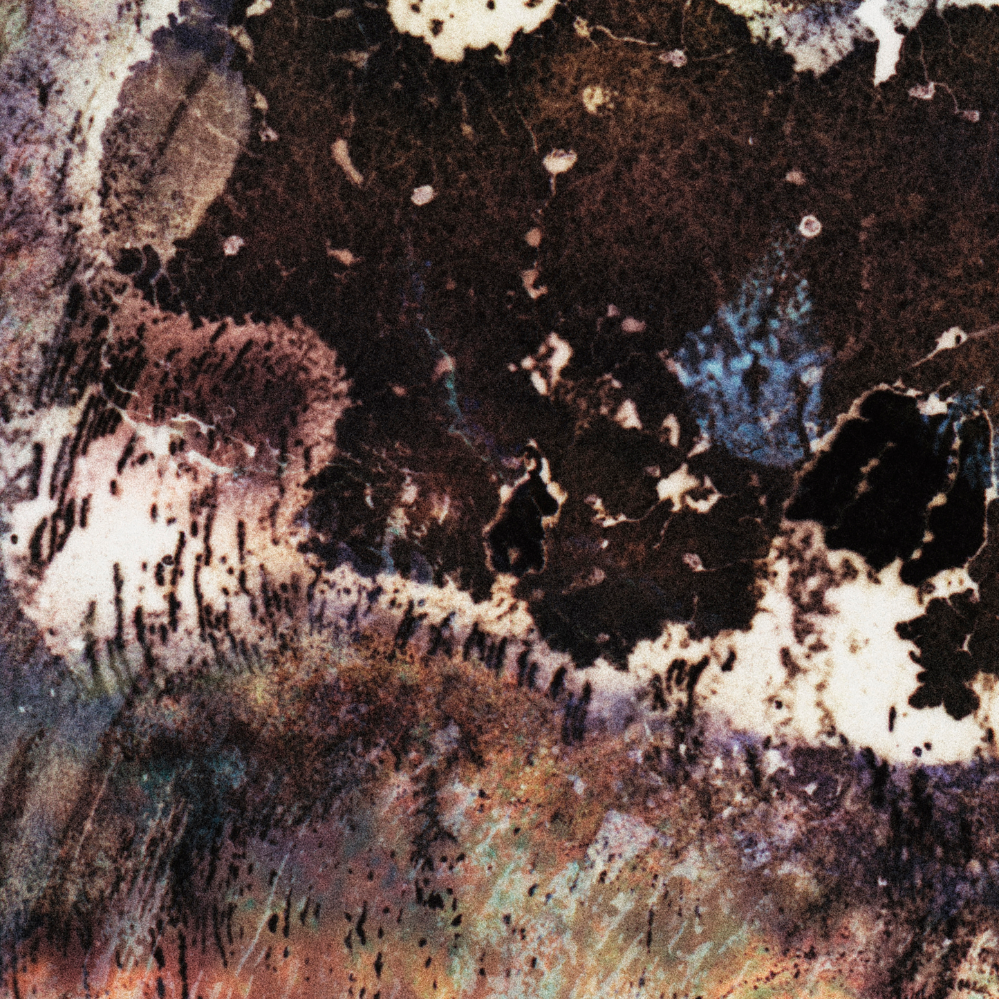 Close-up detail of Naturalia I #005 showing multicolour abstract texture and surface