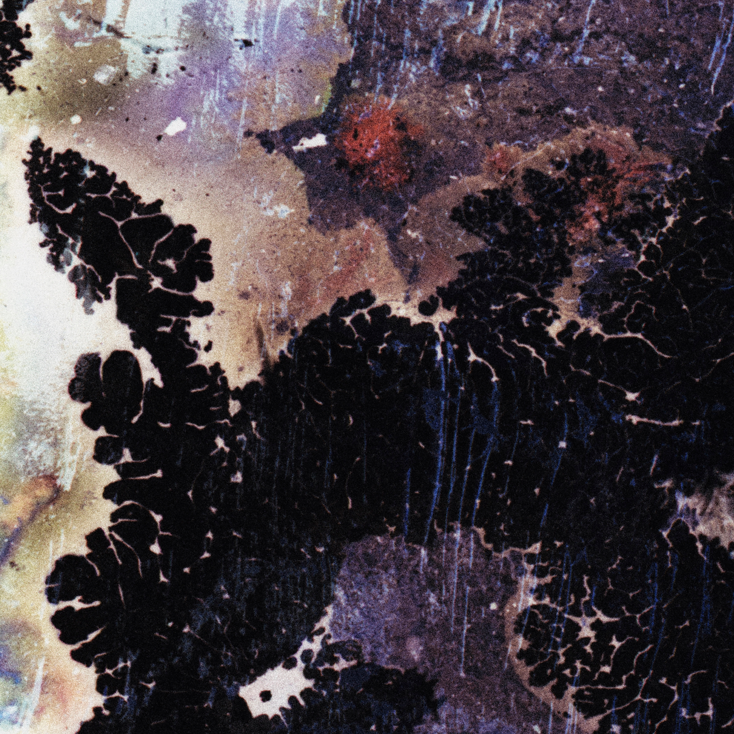 Close-up detail of Naturalia I #007 showing multicolour tonal variation and pattern
