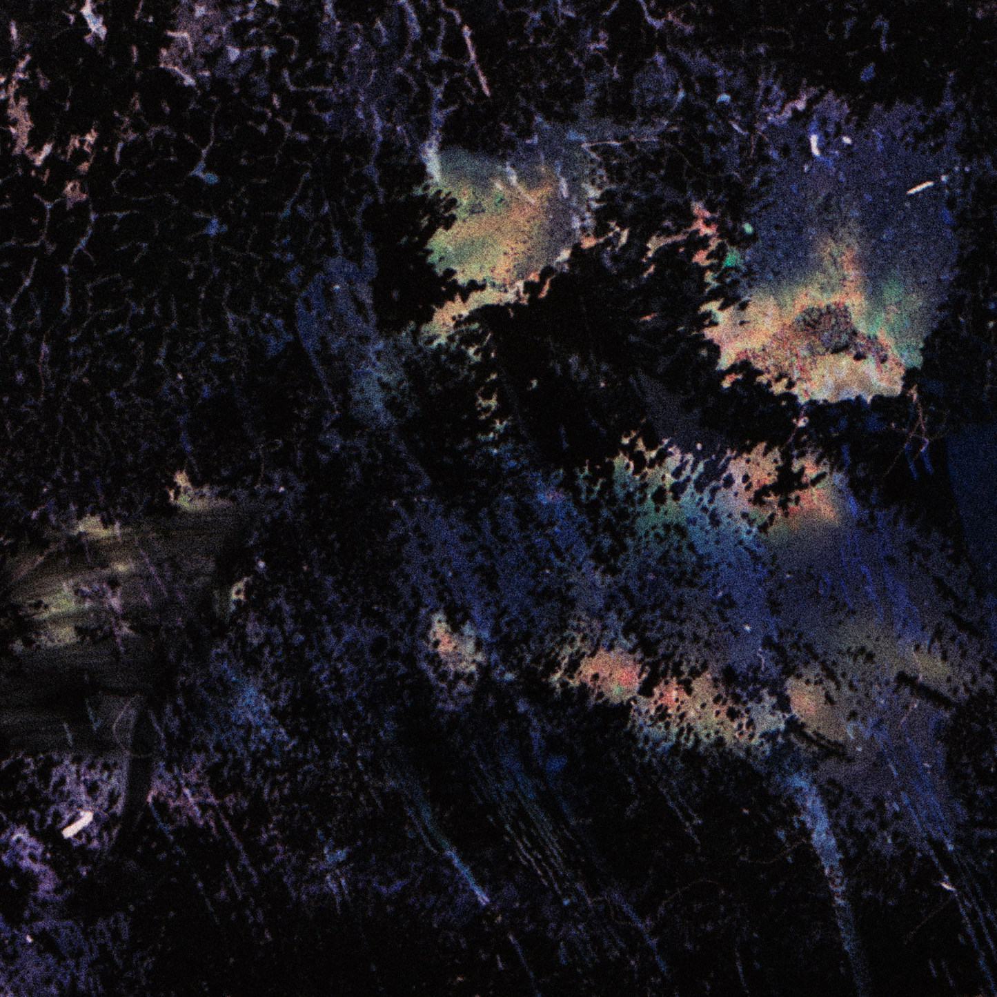 Close-up detail of Naturalia I #009 showing black abstract texture and surface
