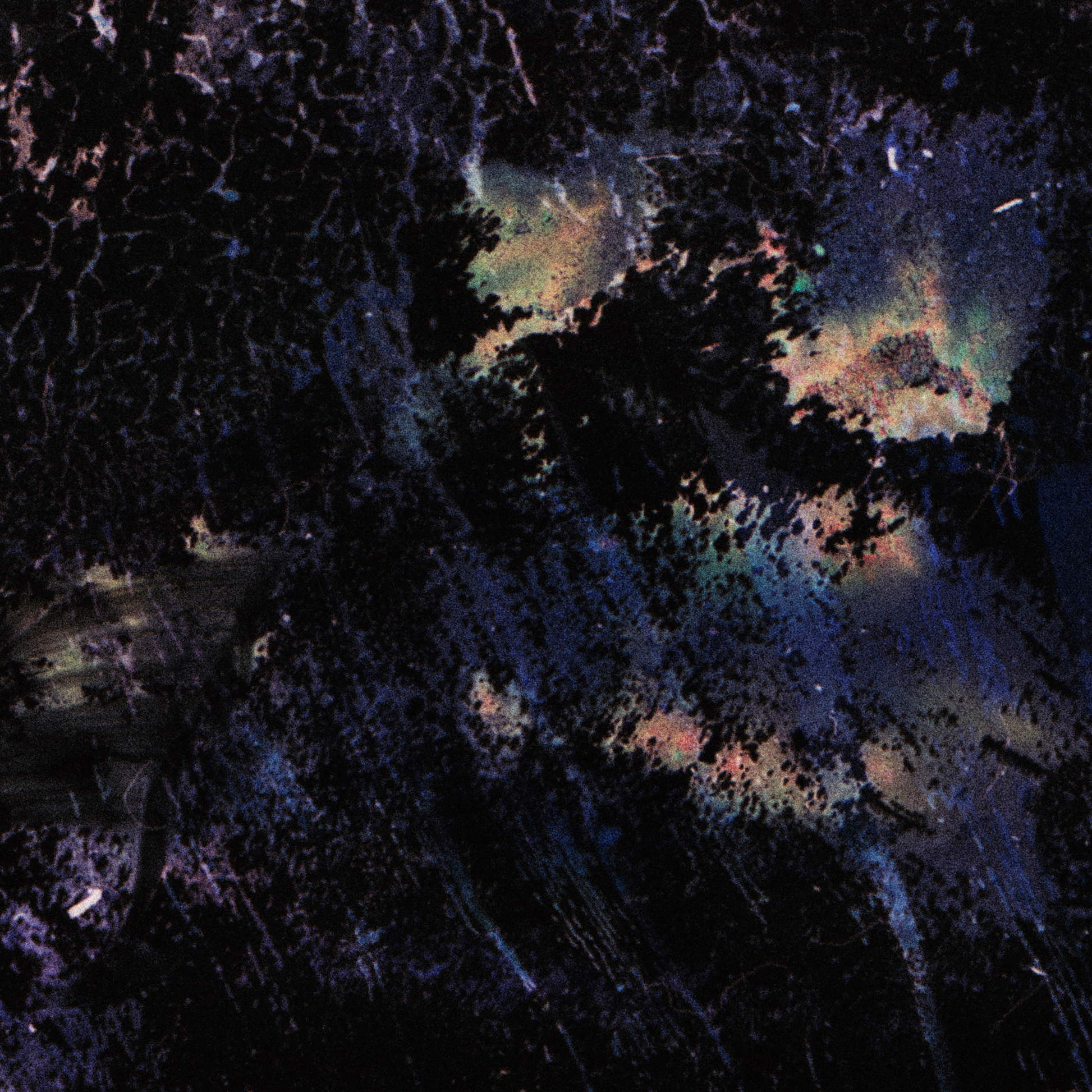 Close-up detail of Naturalia I #009 showing black abstract texture and surface
