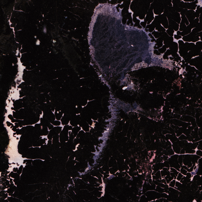 Close-up detail of Naturalia I #009 showing black tonal variation and pattern
