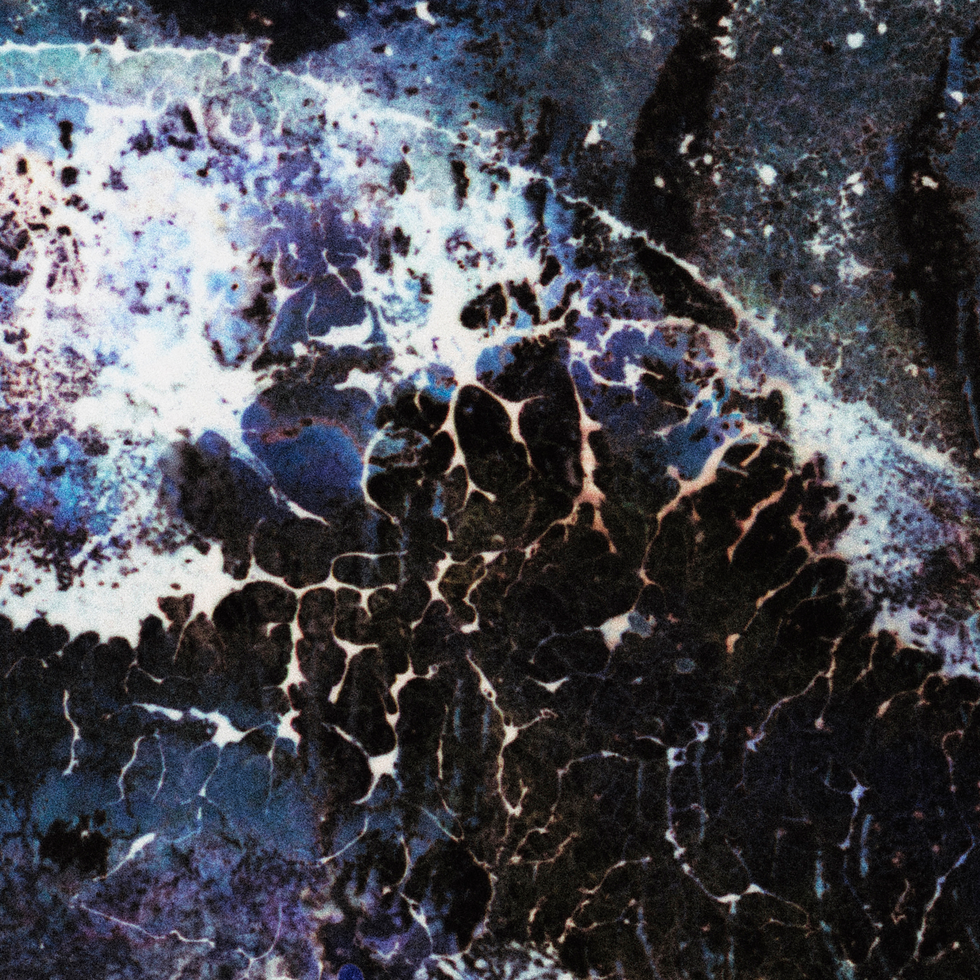 Close-up detail of Naturalia I #011 showing black and blue abstract texture and surface
