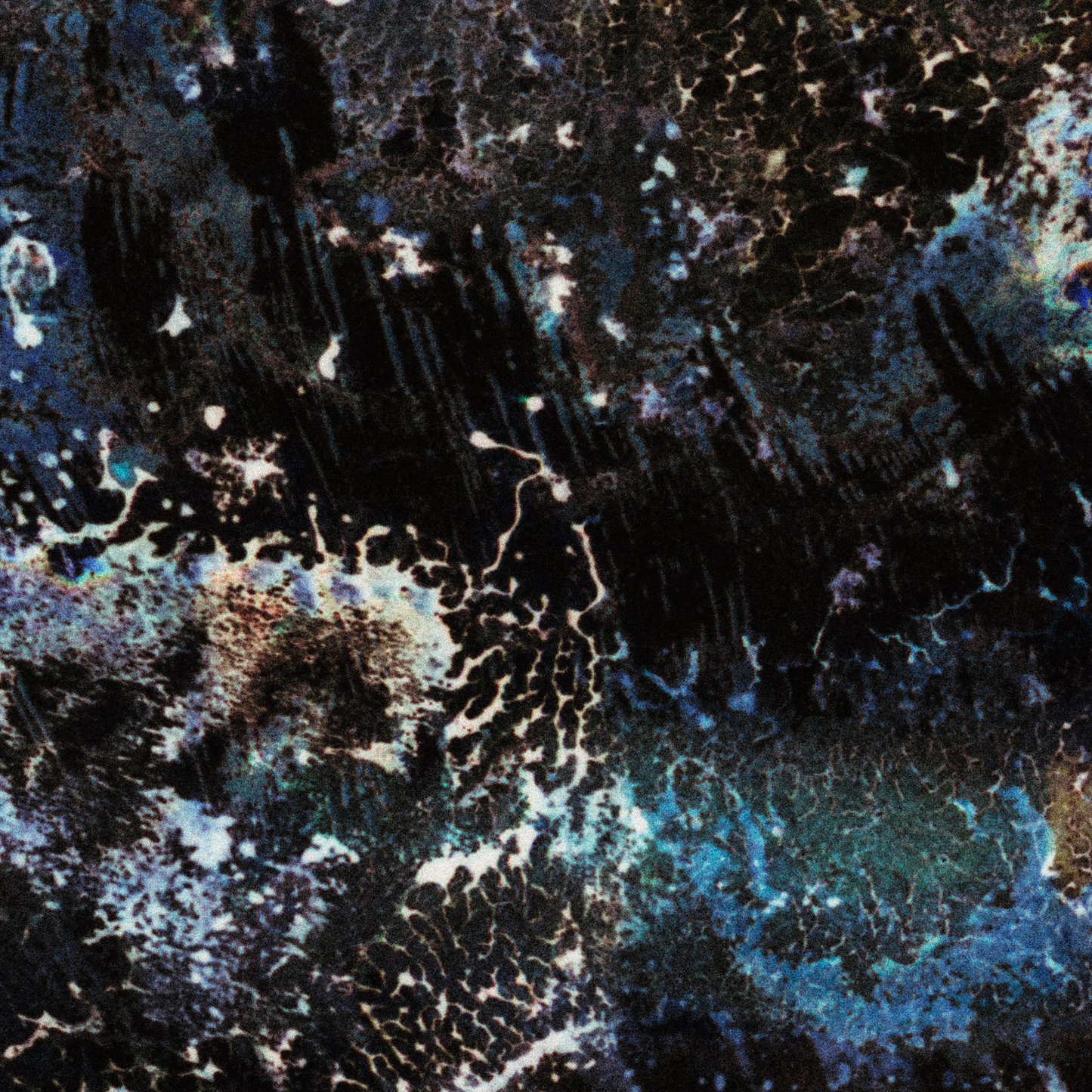 Close-up detail of Naturalia I #011 showing black and blue abstract texture and surface
