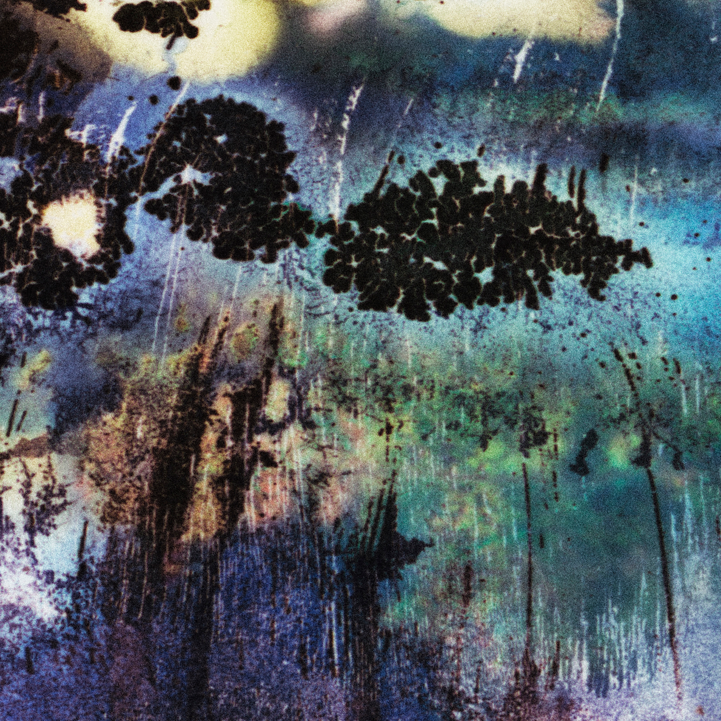 Close-up detail of Naturalia I #012 showing multicolour abstract texture and surface
