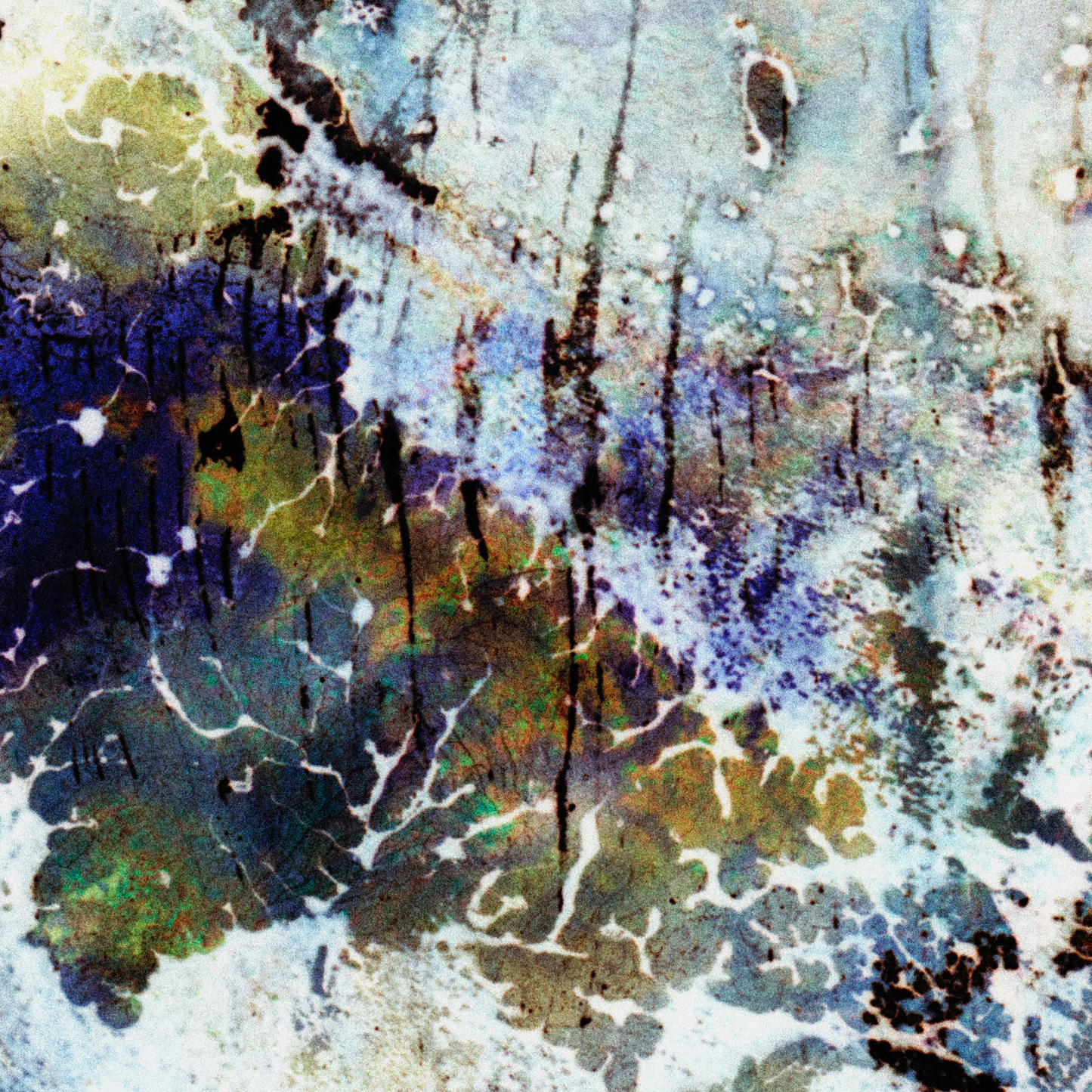 Close-up detail of Naturalia I #015 showing multicolour and black abstract texture and surface
