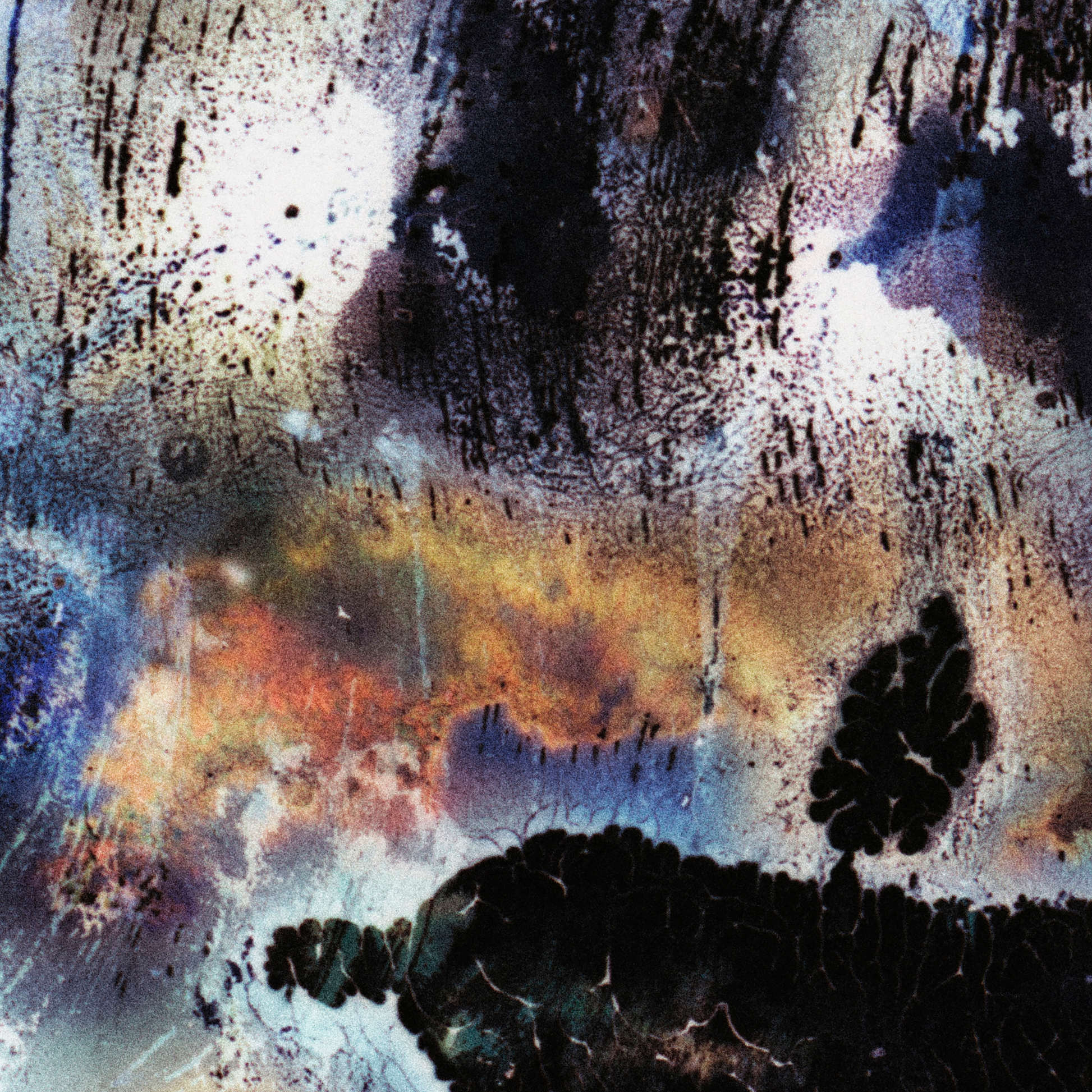 Close-up detail of Naturalia I #017 showing multicolour and black abstract texture and surface
