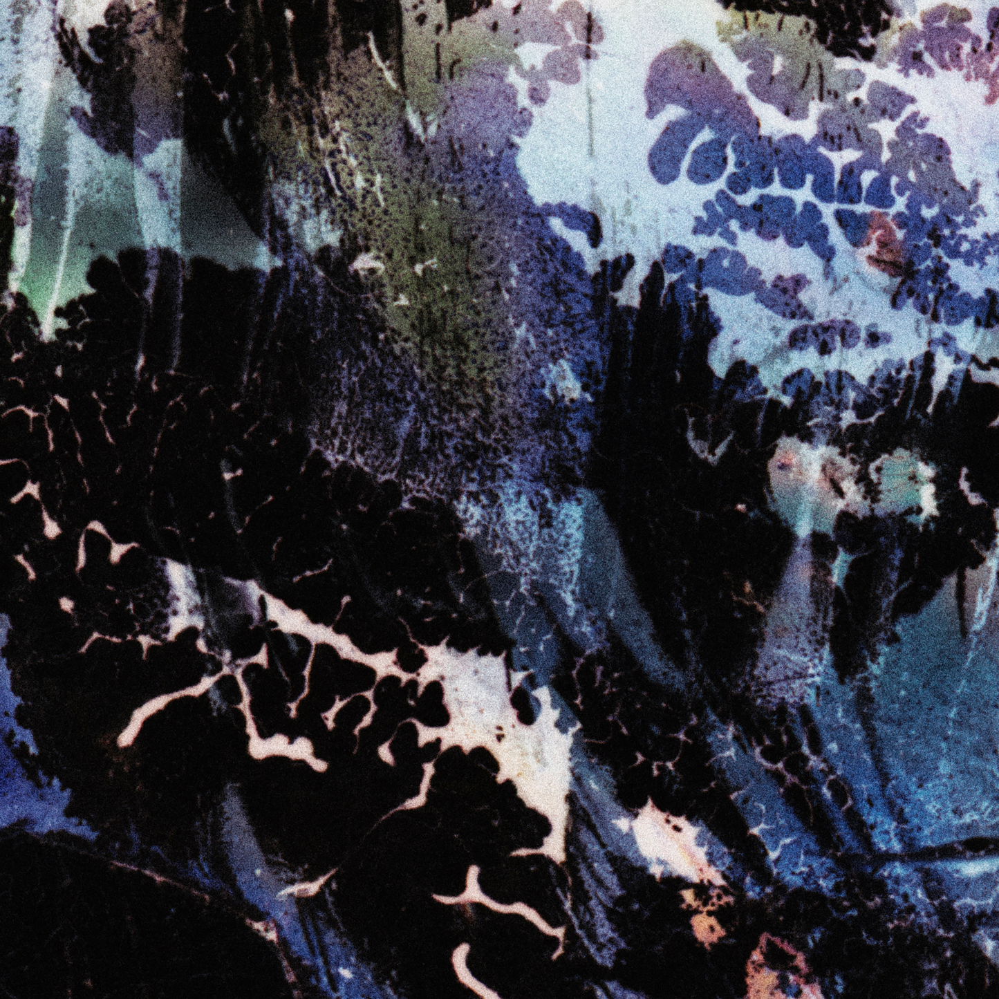 Close-up detail of Naturalia I #018 showing multicolour, black and blue abstract texture and surface
