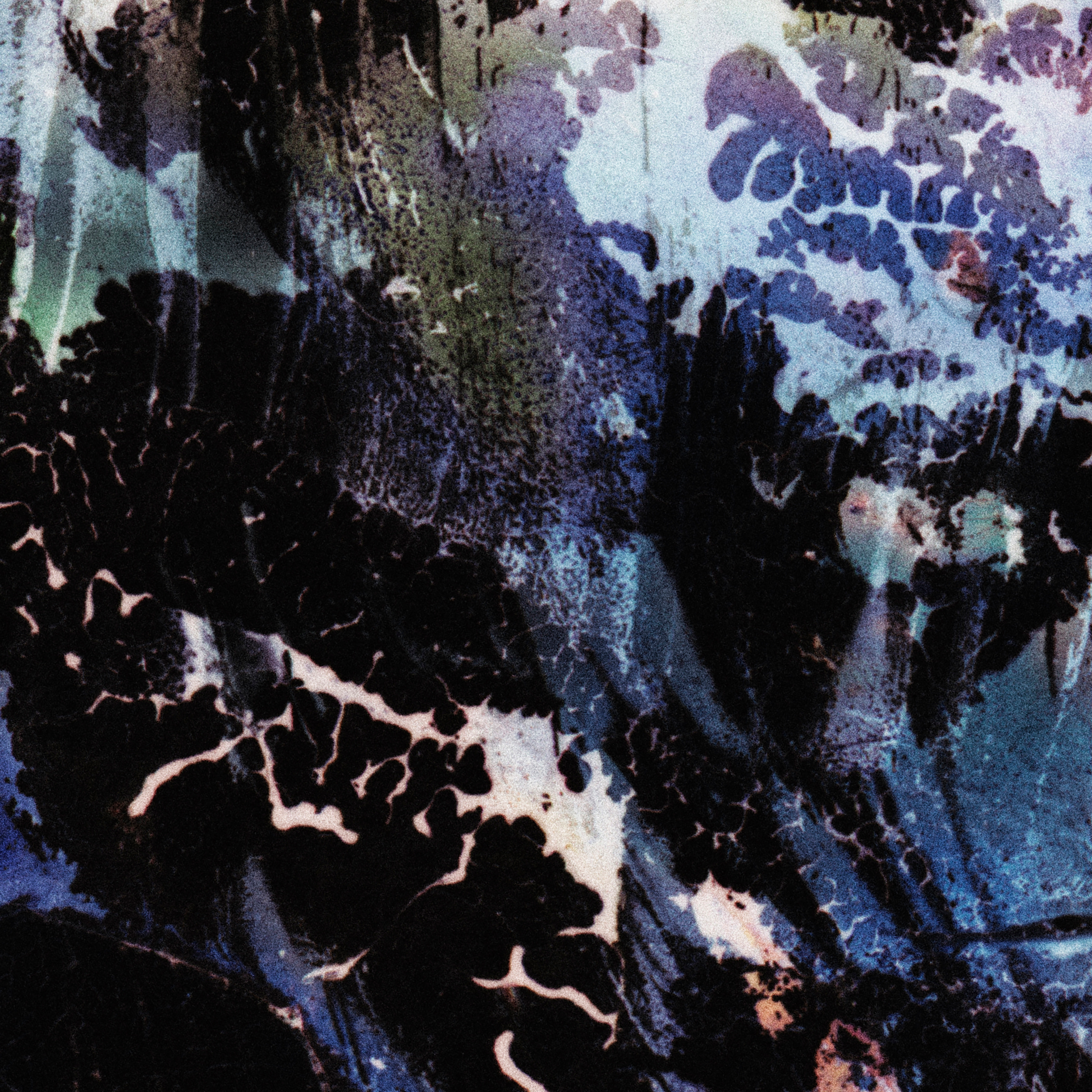 Close-up detail of Naturalia I #018 showing multicolour, black and blue abstract texture and surface
