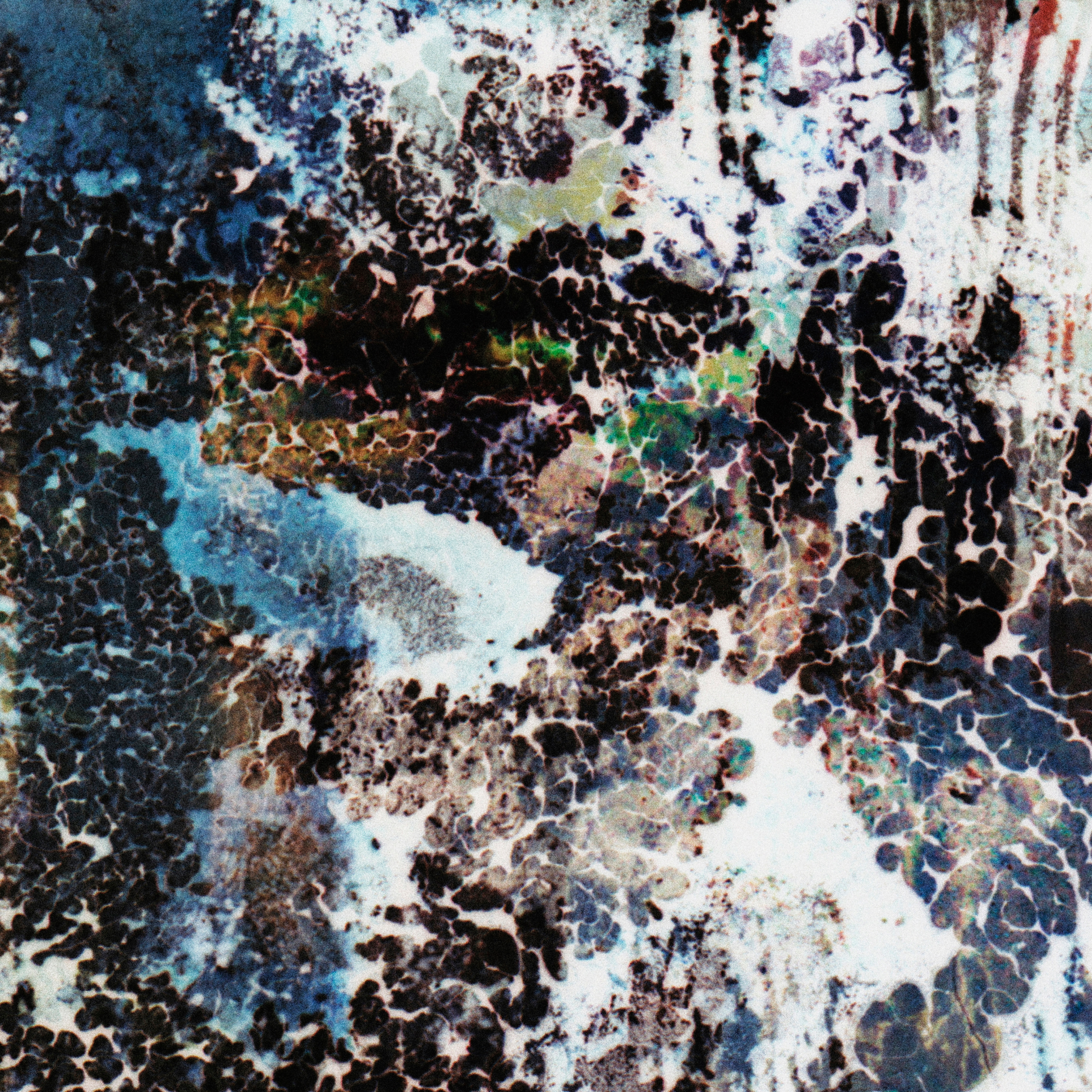 Close-up detail of Naturalia I #020 showing multicolour, blue, black and white abstract texture and surface

