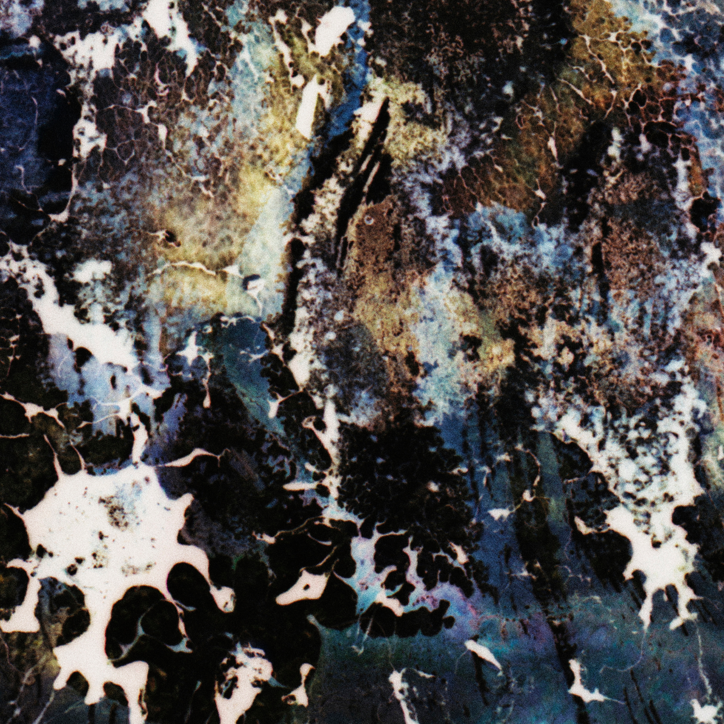 Close-up detail of Naturalia I #020 showing multicolour, blue, black and white abstract texture and surface
