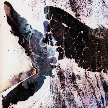 Close-up detail of Naturalia I #023 showing multicolour, black, blue and navy abstract texture and surface
