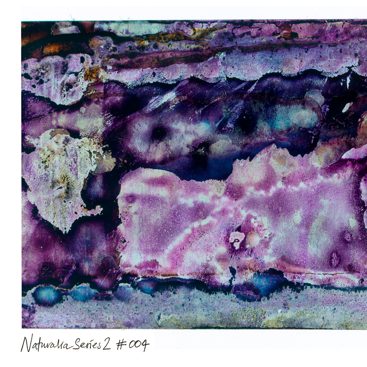 Detail of Naturalia II #004 abstract photographic artwork showing violet and burgundy textures