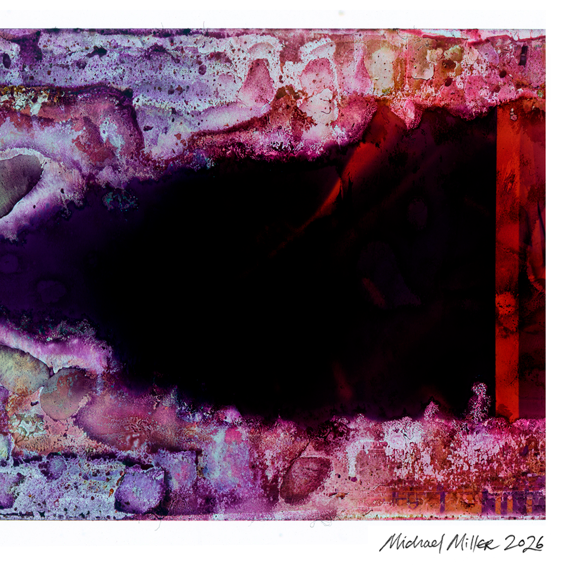 Detail of Naturalia II #004 abstract photographic artwork showing violet and burgundy textures