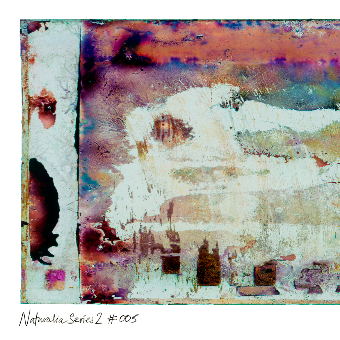 Detail of Naturalia II #005 abstract photographic artwork showing peach, pink and green textures.
