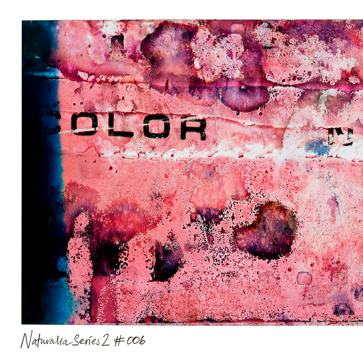 Detail of Naturalia II #006 abstract photographic artwork showing pink, purple and red textures.
