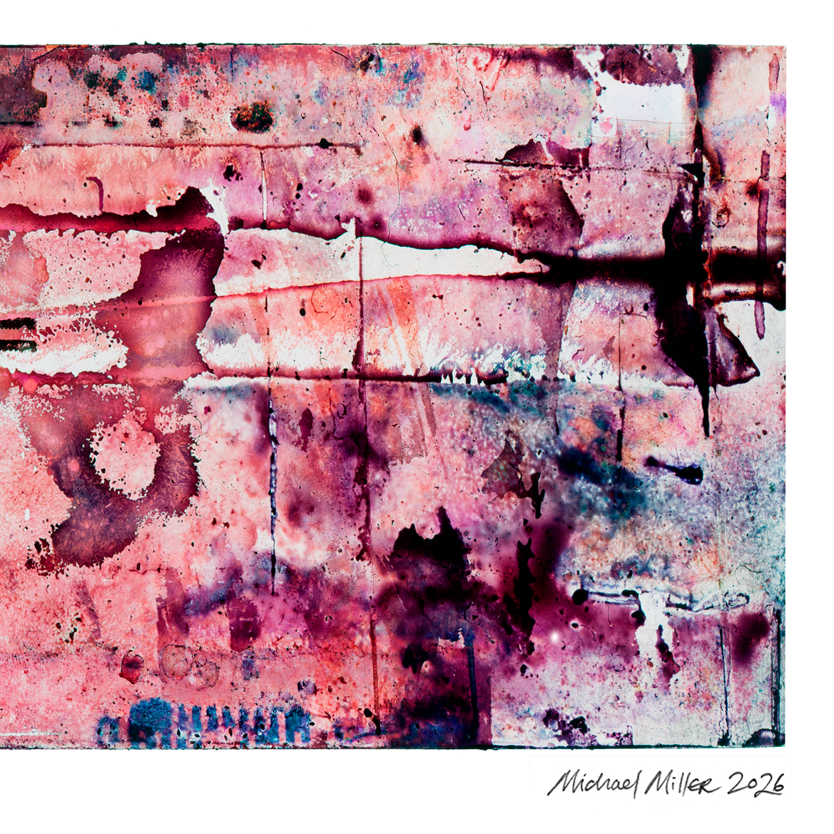 Detail of Naturalia II #006 abstract photographic artwork showing blue, black and purple tonal textures.
