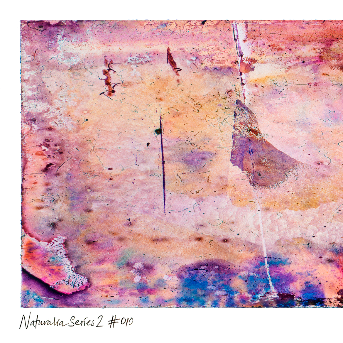 Close-up detail of Naturalia II #010, an original abstract fine art photographic print, showing pink, purple and beige layered textures.
