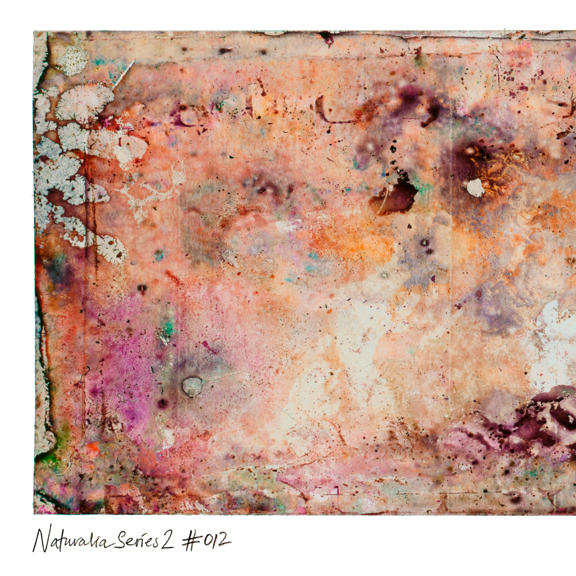 Close-up detail of Naturalia II #012, an original abstract fine art photographic print, showing beige, orange and brown layered textures.
