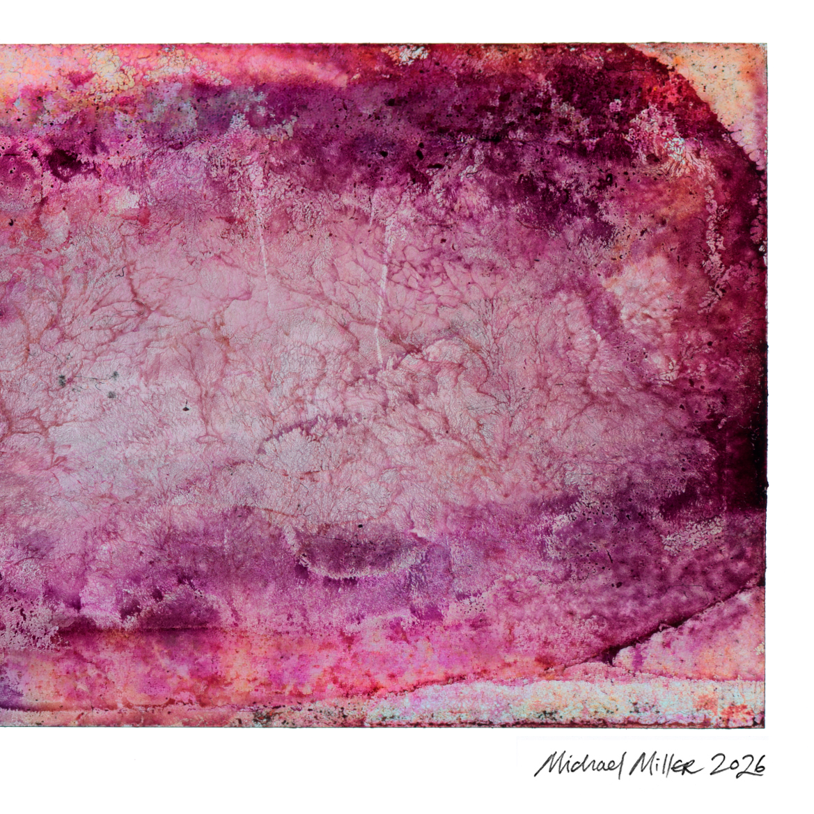 Close-up detail of Naturalia II #015, an original abstract fine art photographic print, showing dark burgundy and magenta tonal patterns.
