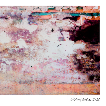 Close-up detail of Naturalia II #020, an original abstract fine art photographic print, showing lavender, purple and white tonal patterns.
