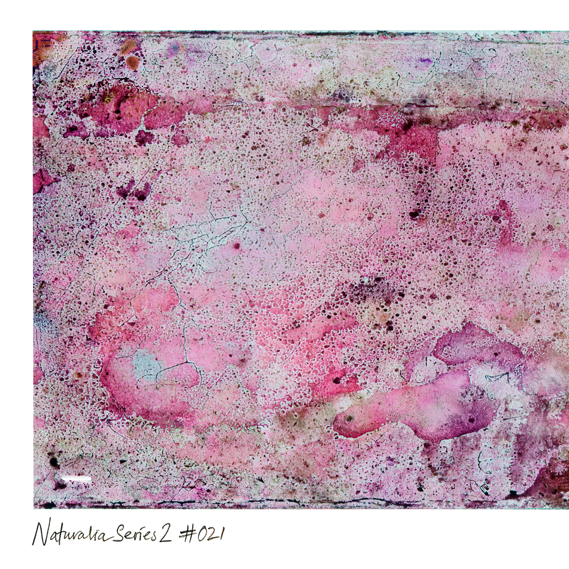 Close-up detail of Naturalia II #021, an original abstract fine art photographic print, showing pink, purple and beige marbled textures.
