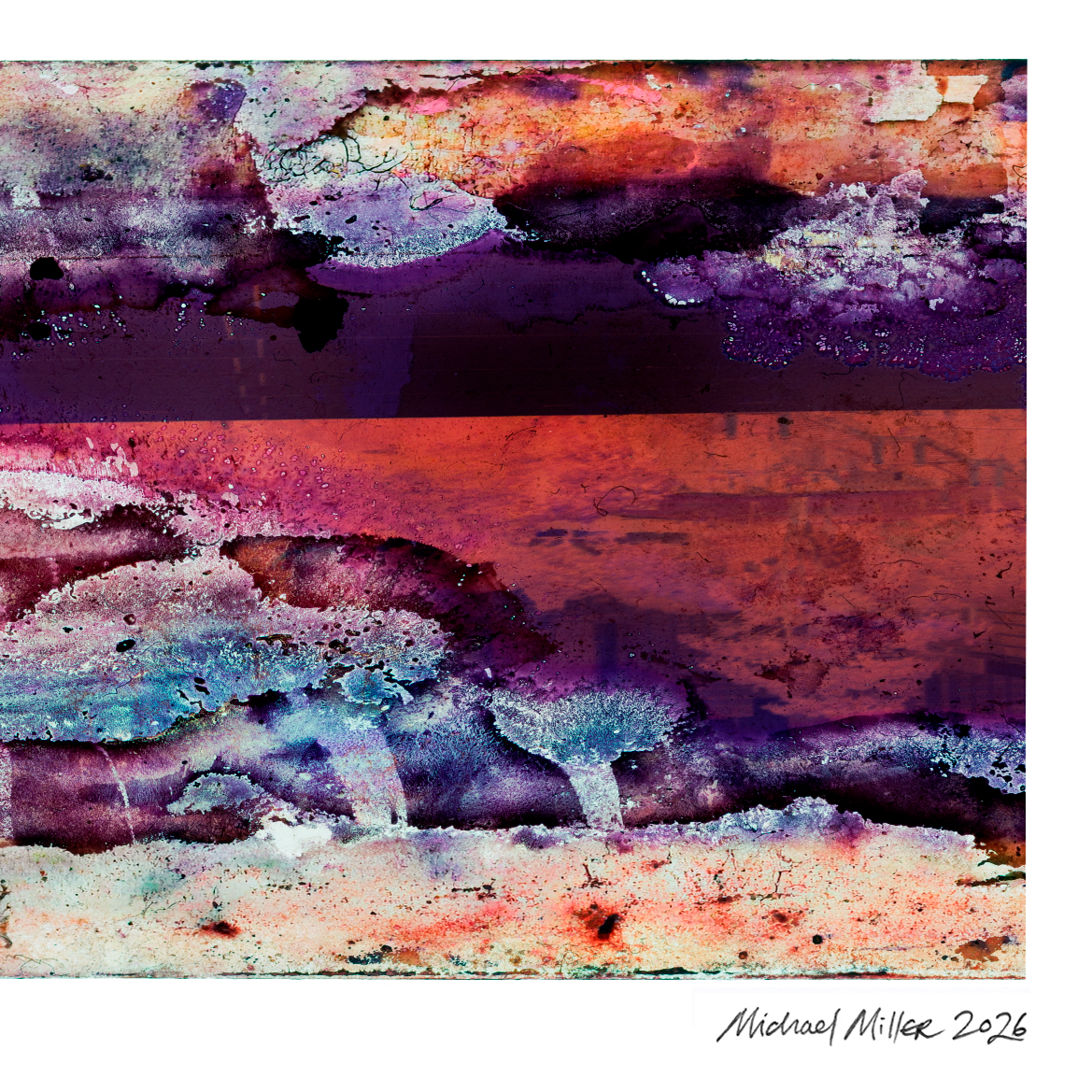 Close-up detail of Naturalia II #024, an original abstract fine art photographic print, showing pink, blue and grey tonal patterns.

