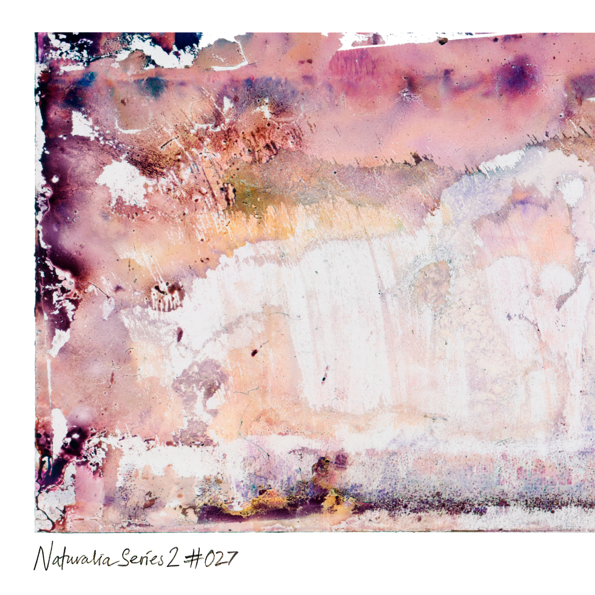 Close-up detail of Naturalia II #027, an original abstract fine art photographic print, showing pink, purple and brown layered textures.
