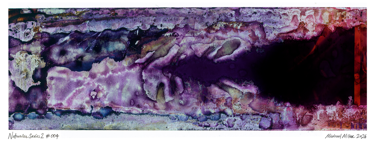Naturalia II #004 abstract fine art photographic print in violet, burgundy and black