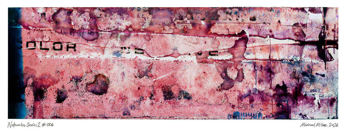 An abstract art print or painting featuring a textured, distressed background in shades of pink, red, and purple, with black text fragments and splatters. Signed on the bottom margin.