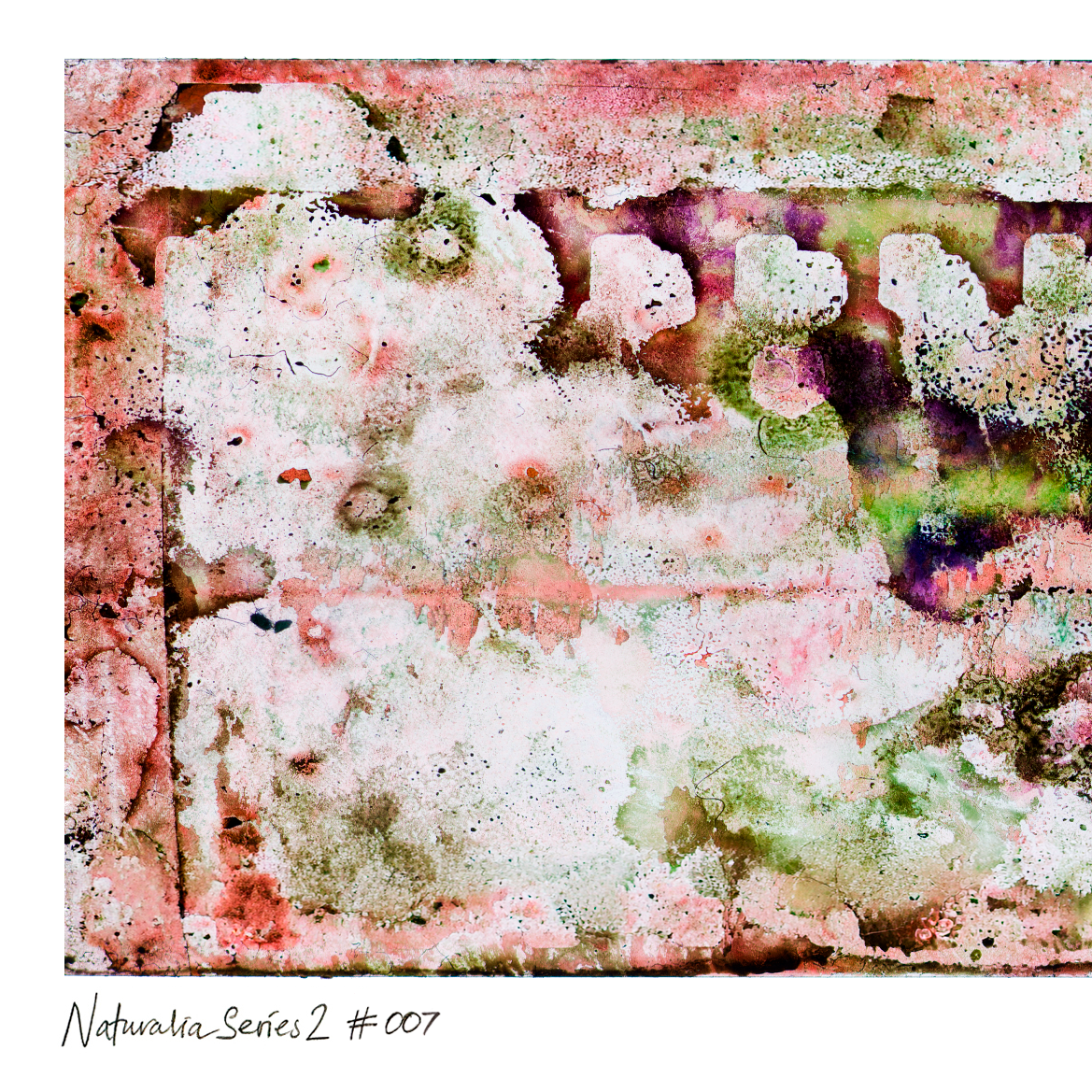 Detail of Naturalia II #007 abstract photographic artwork showing pink and purple textures over a dark background.
