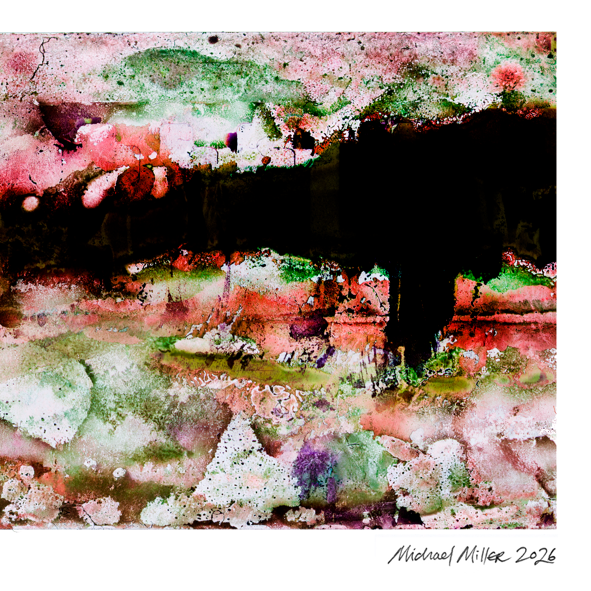 Detail of Naturalia II #007 abstract photographic artwork showing green and white tonal textures.
