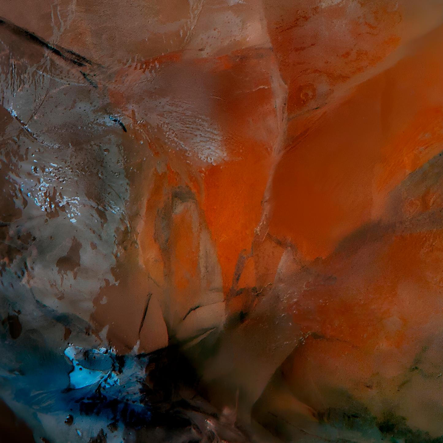 Close up detail of photograph of fried egg frozen in ice