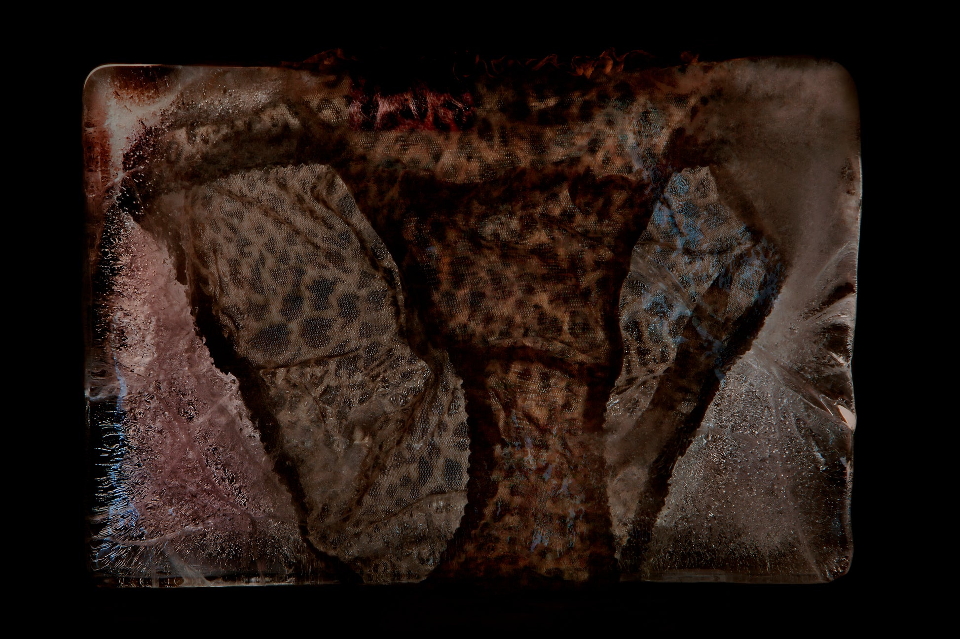 Ladies leopard print undies frozen in ice a memory frozen in time on black