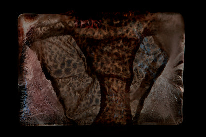 Ladies leopard print undies frozen in ice a memory frozen in time on black
