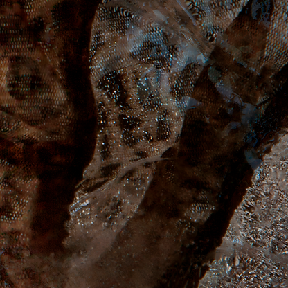 Close up of detail of photograph of ladies underwear frozen in a block of ice