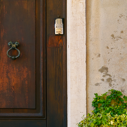Wooden door with a knocker and a wall with greenery