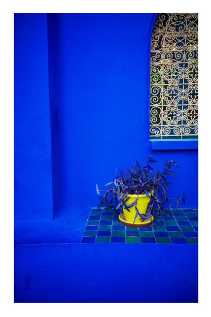 Blue wall with a yellow pot and decorative plant in Marrakesh 's Majorelle Garden.