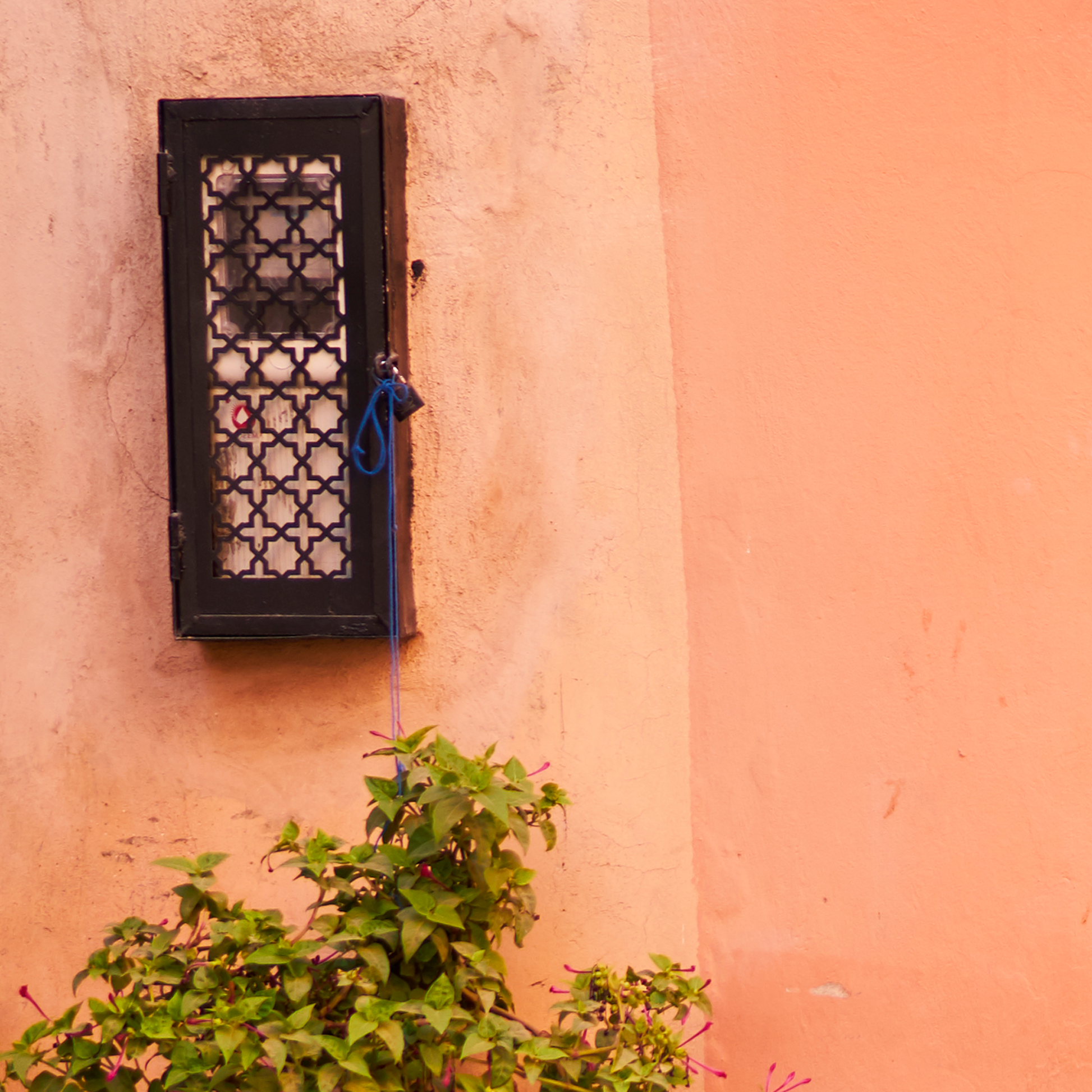 Decorative metal grille on a pink wall with green plants in the foreground