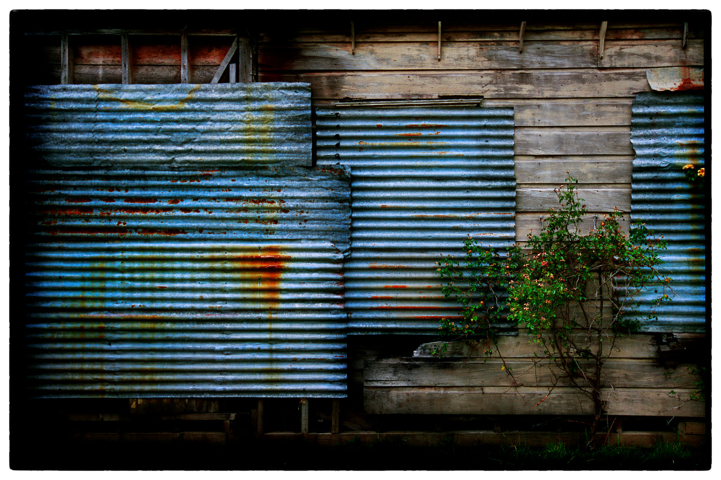 Rustic building with corrugated metal shutters and wooden walls.